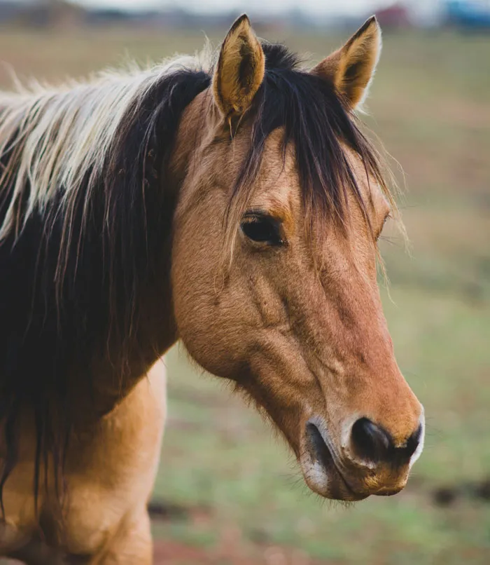69 Random And Cool Facts People Know That Are Useless But Fun To Share With Friends