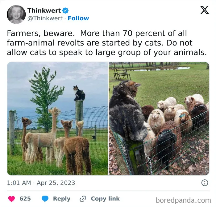 Can Confirm