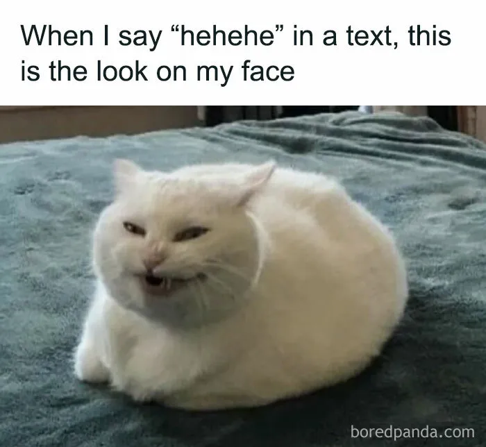 79 Silly Memes That Feel Suspiciously Relatable