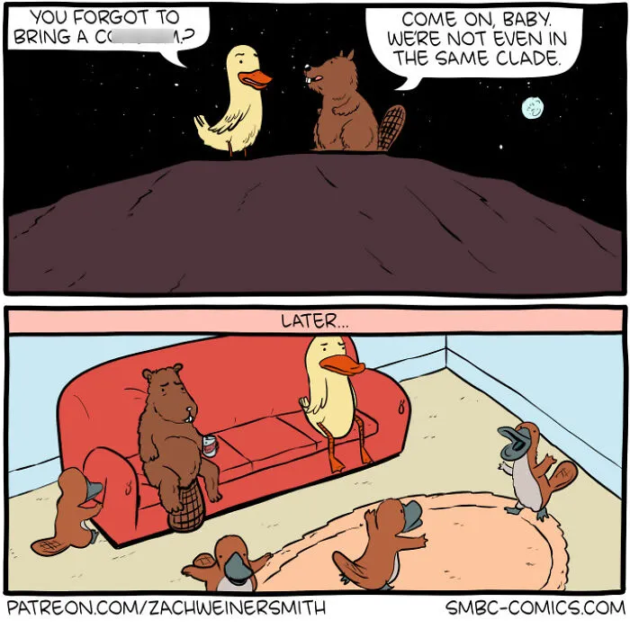 50 New ‘Saturday Morning Breakfast Cereal’ Comics About Life, Science, And Everything In Between
