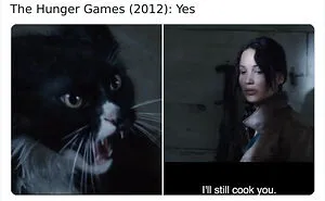 83 Unexpected Cat Cameos In Movies You Probably Missed The First Time 