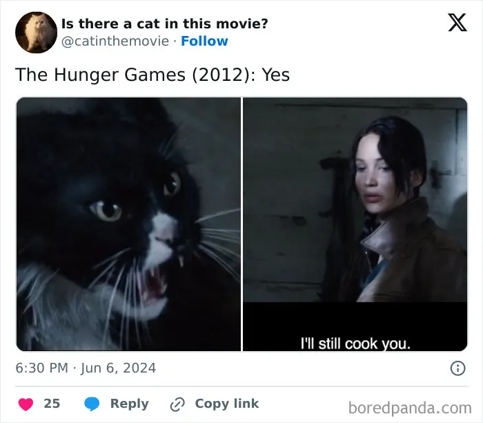 Cat-In-Movies-Pics