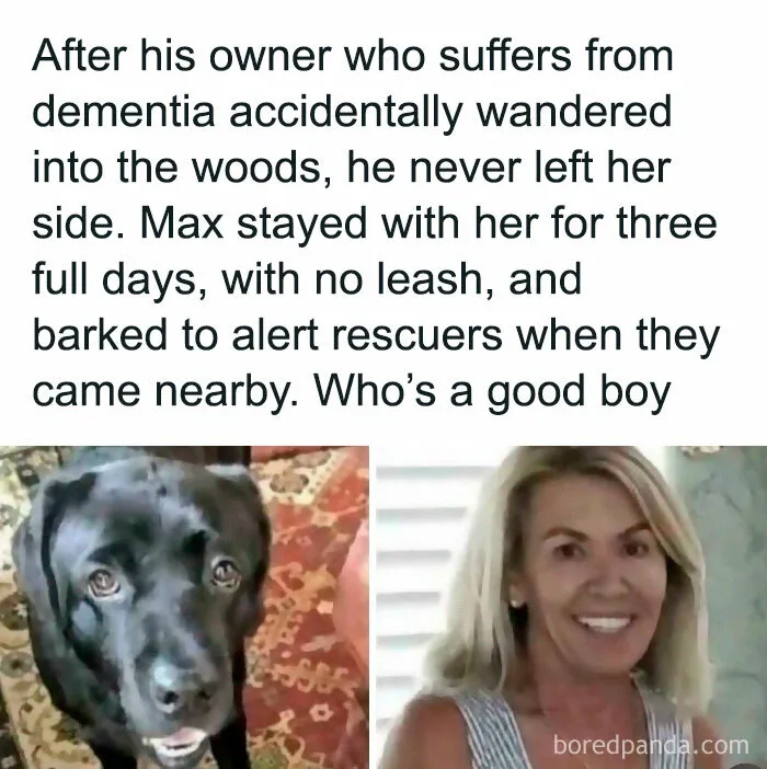 Max Is A Good Boy