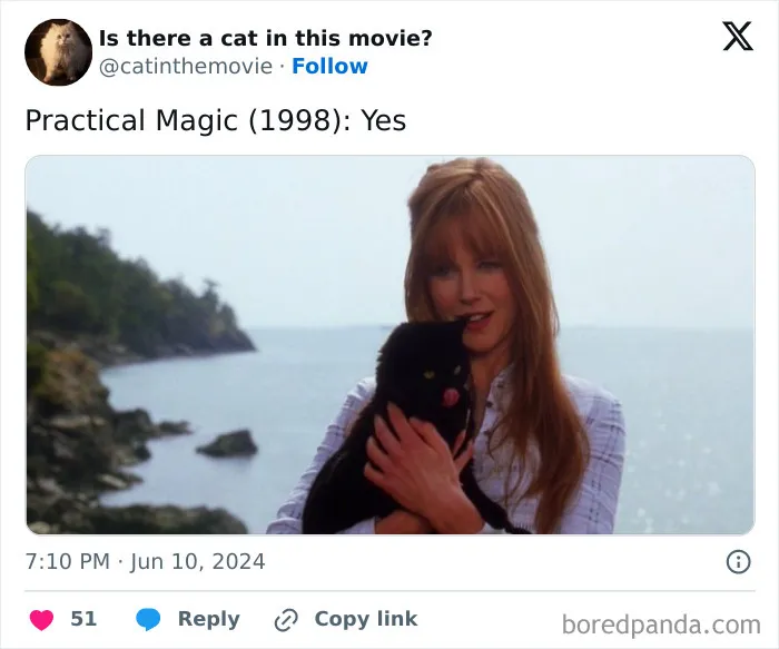 83 Unexpected Cat Cameos In Movies You Probably Missed The First Time 