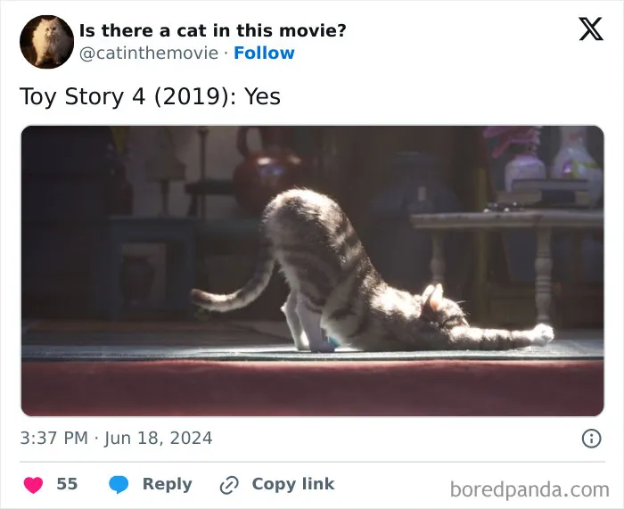 83 Unexpected Cat Cameos In Movies You Probably Missed The First Time 