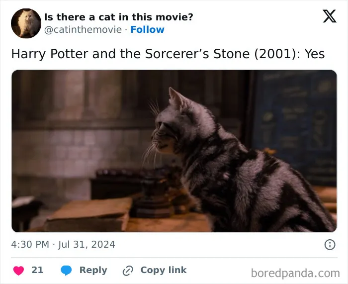 83 Unexpected Cat Cameos In Movies You Probably Missed The First Time 