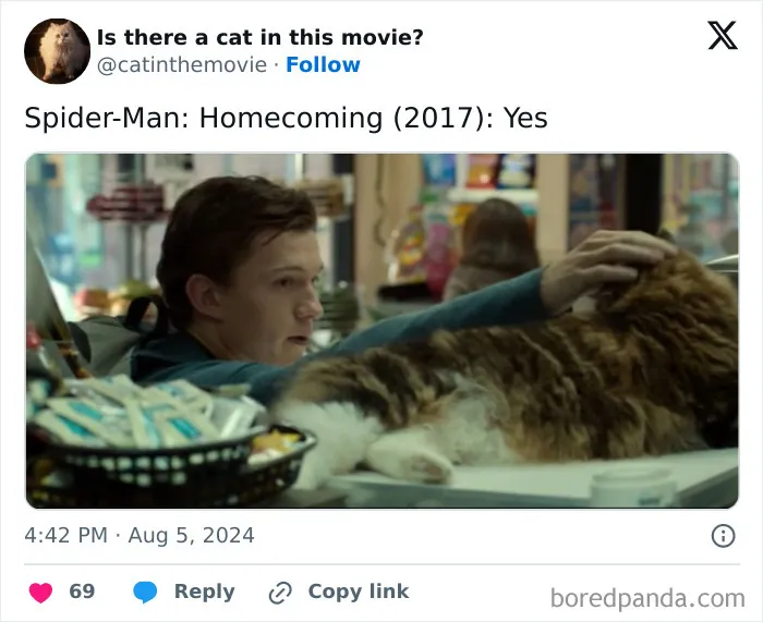 83 Unexpected Cat Cameos In Movies You Probably Missed The First Time 