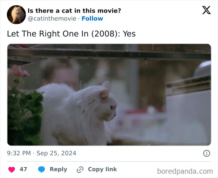 83 Unexpected Cat Cameos In Movies You Probably Missed The First Time 