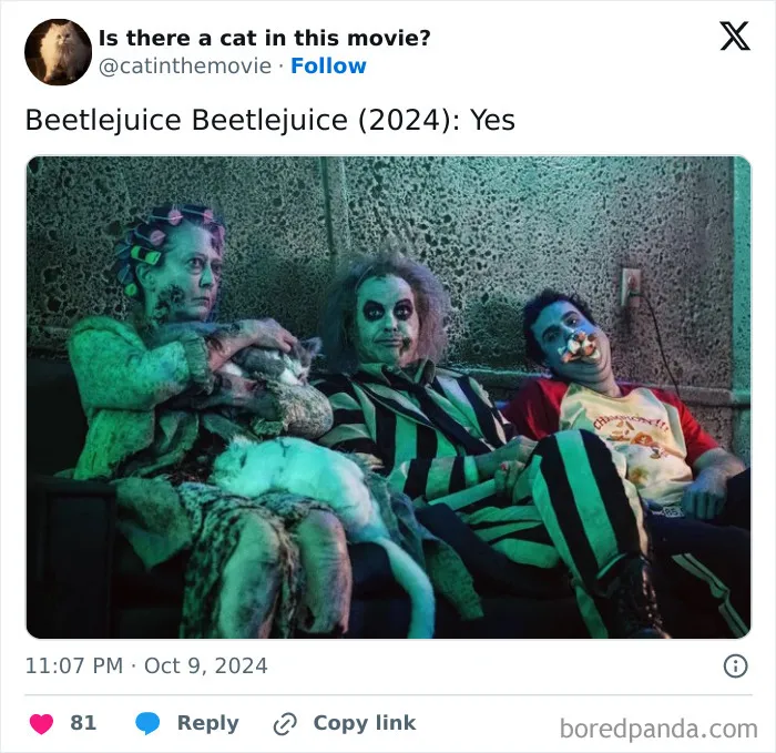 83 Unexpected Cat Cameos In Movies You Probably Missed The First Time 