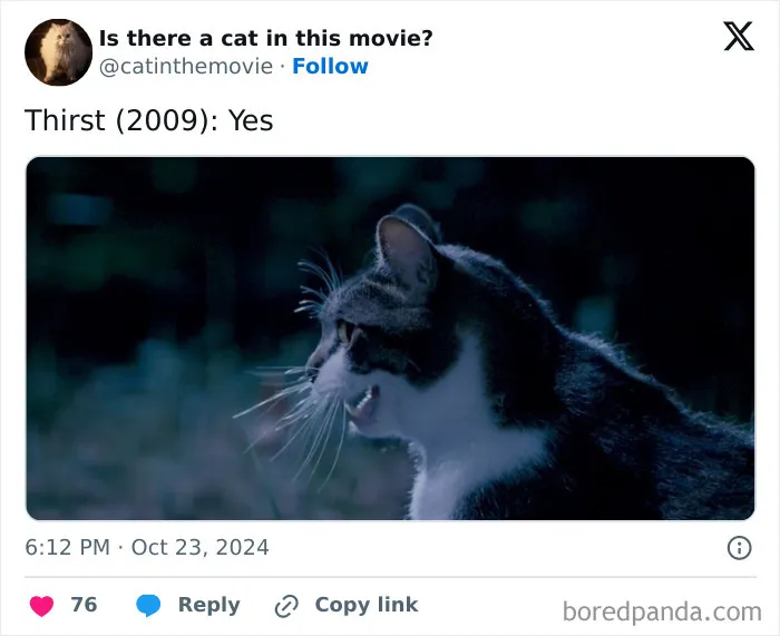 83 Unexpected Cat Cameos In Movies You Probably Missed The First Time 