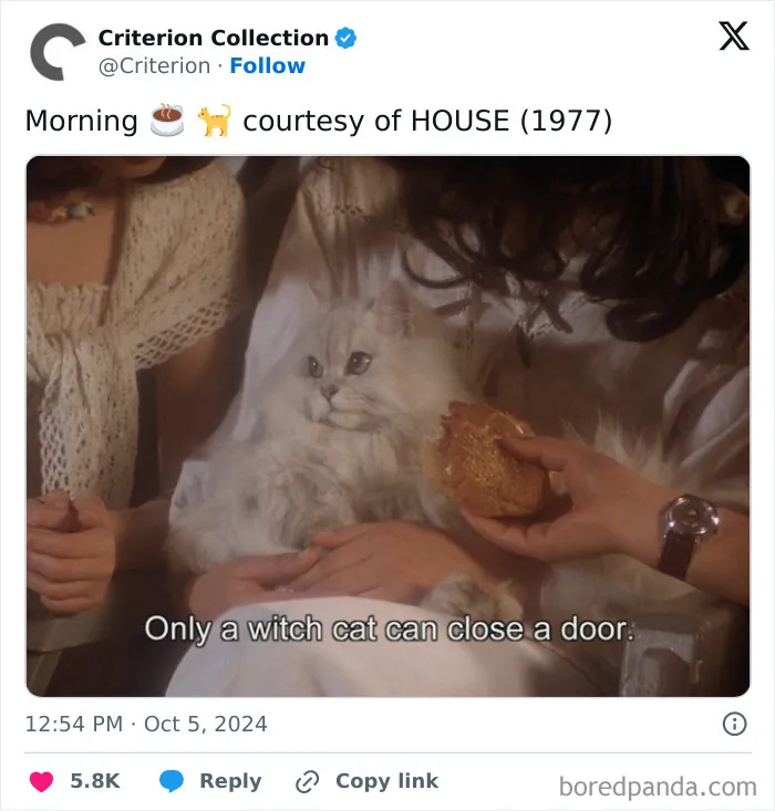 83 Unexpected Cat Cameos In Movies You Probably Missed The First Time 