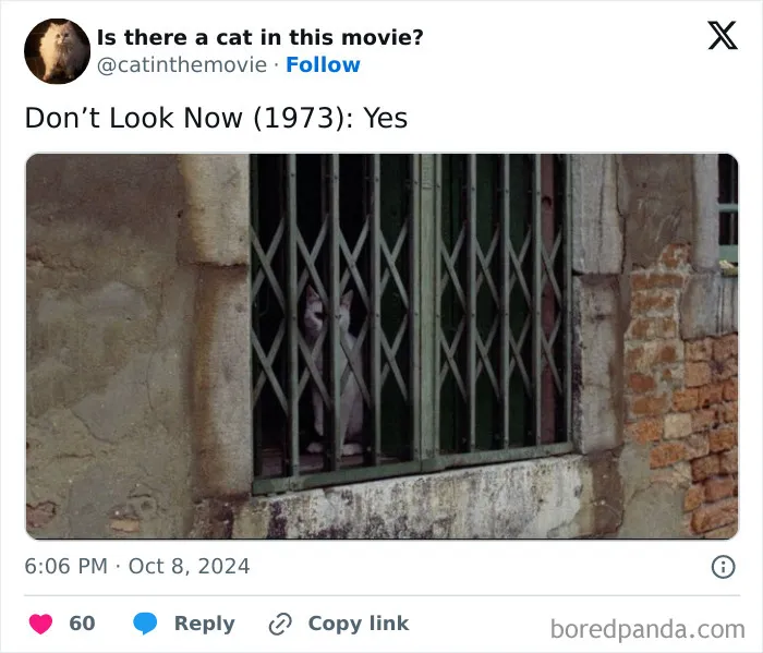 83 Unexpected Cat Cameos In Movies You Probably Missed The First Time 