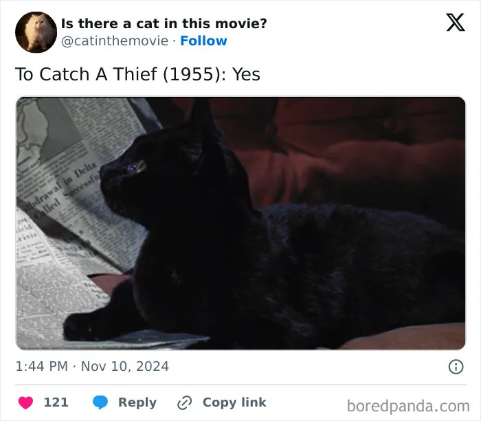 83 Unexpected Cat Cameos In Movies You Probably Missed The First Time 