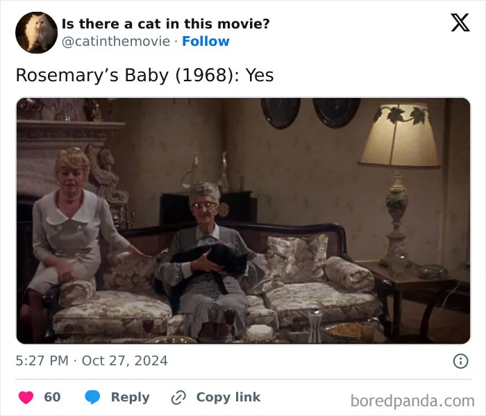 83 Unexpected Cat Cameos In Movies You Probably Missed The First Time 