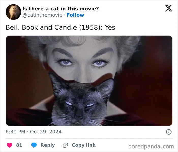 83 Unexpected Cat Cameos In Movies You Probably Missed The First Time 