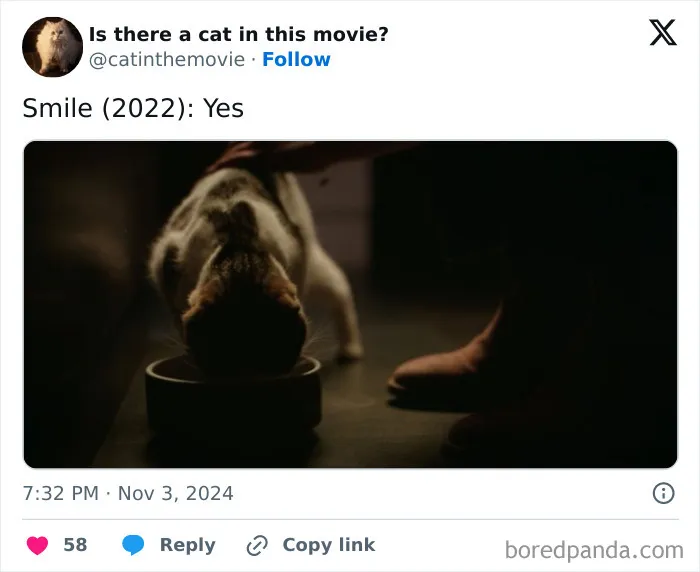 Cat-In-Movies-Pics