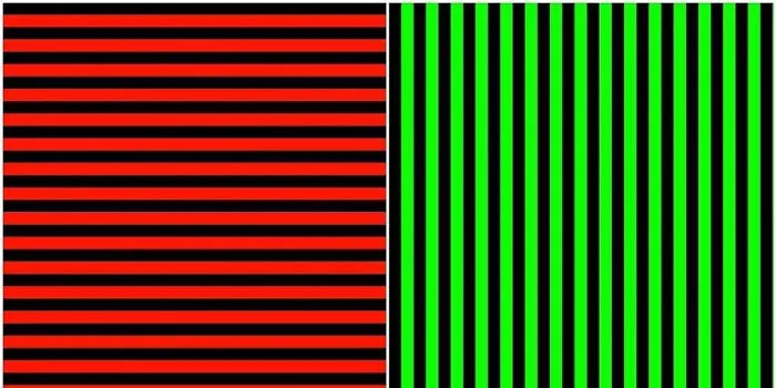 Mccollough Effect