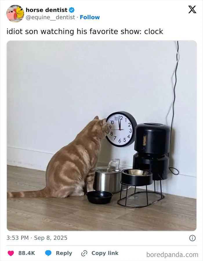 59 Hilariously Relatable Memes From People Who Gave Up On Life, But Not On Humor (New Pics)