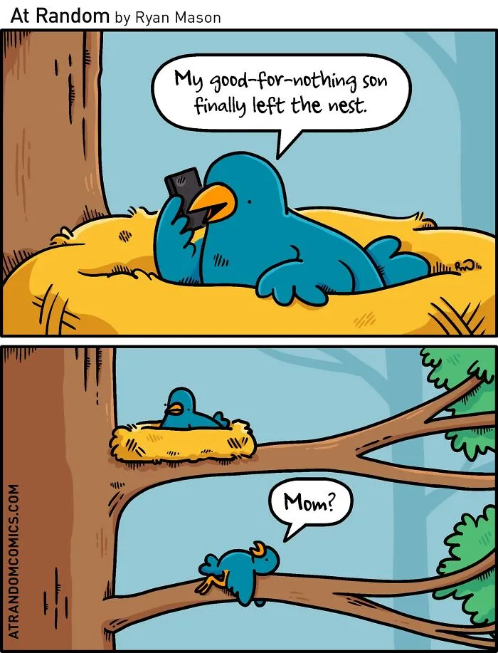 “Short Flight”