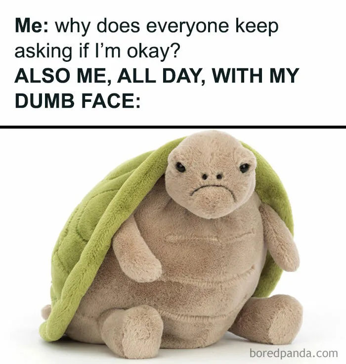 79 Silly Memes That Feel Suspiciously Relatable