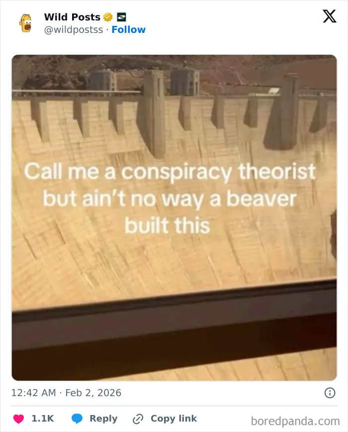 52 Deeply Unhinged Internet Posts That Somehow Keep Getting Funnier