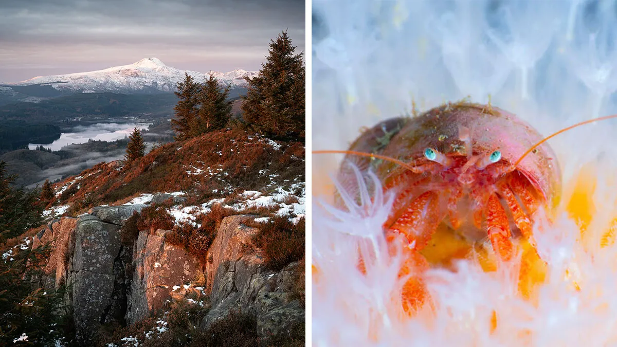 Here Are 31 Breathtaking Images That Won The Scottish Nature Photography Awards 2025