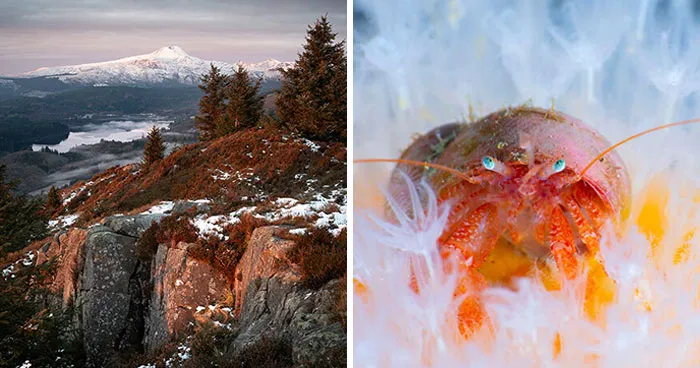 Here Are 31 Breathtaking Images That Won The Scottish Nature Photography Awards 2025