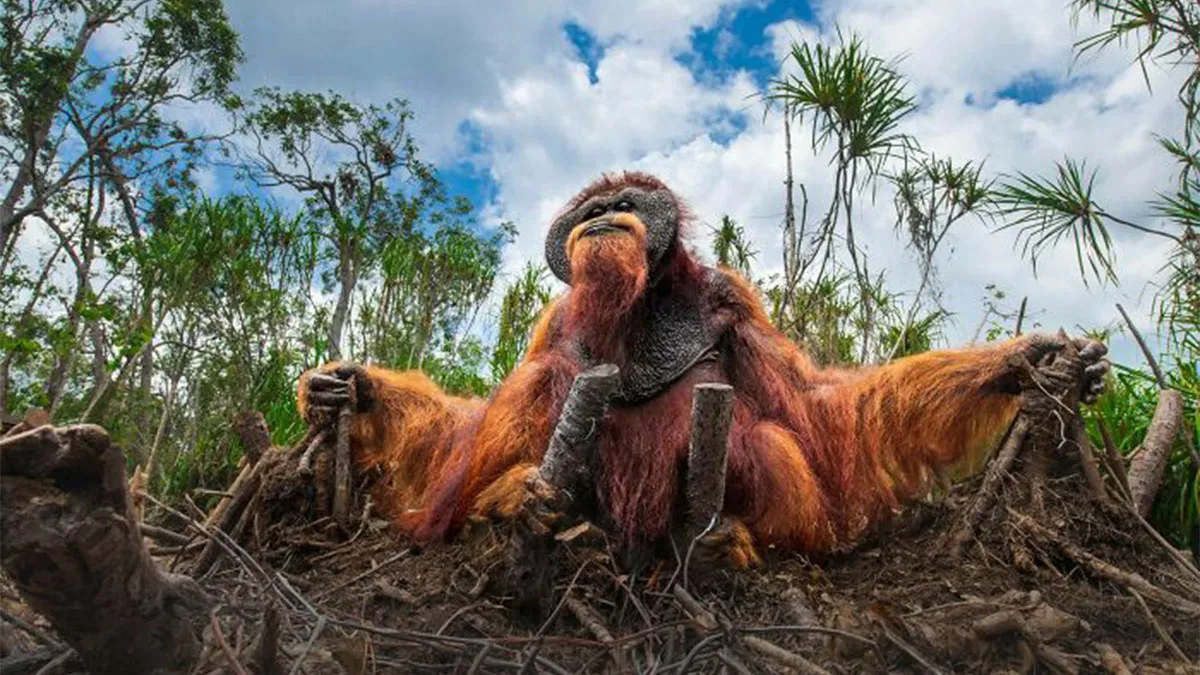 112 Of The Most Beautiful Nature Photos From The 2025 Nature Photography Contest