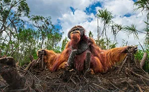 112 Of The Most Beautiful Nature Photos From The 2025 Nature Photography Contest