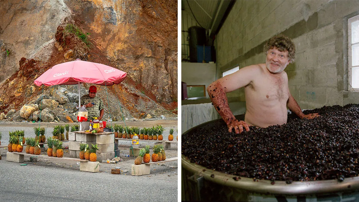 35 Incredible Food Photos From Around The World That Made The 2026 Shortlist
