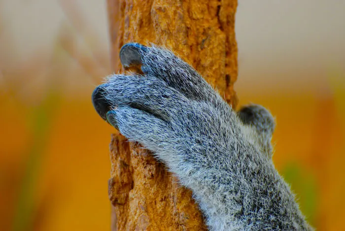 69 Random And Cool Facts People Know That Are Useless But Fun To Share With Friends