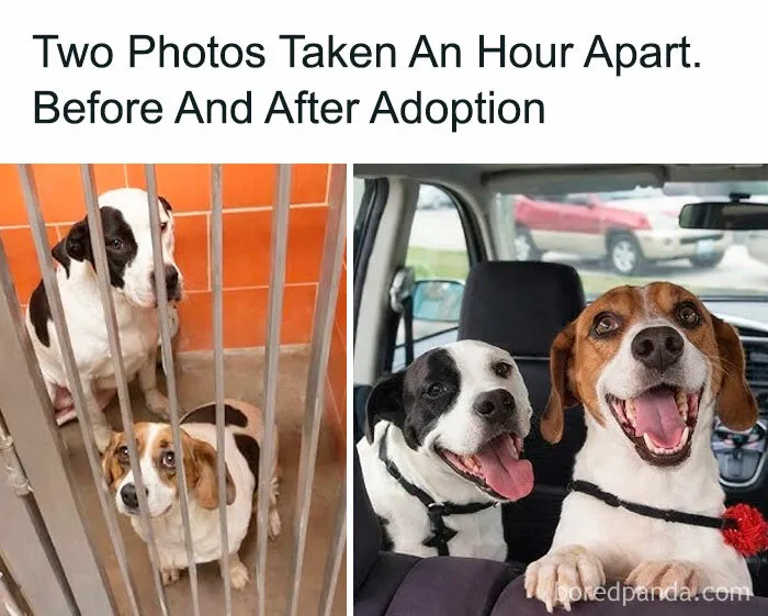 This Is The Goal