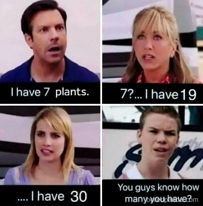 This IG Page Is Rife With Funny Plant Memes, And These 59 Are The Best So Far (New Pics)