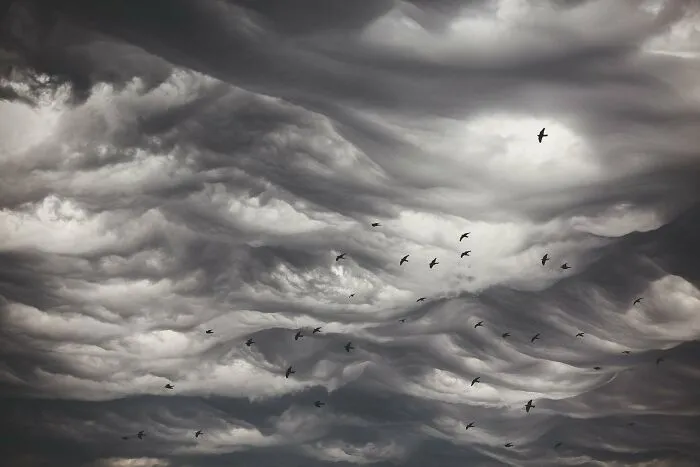 30 Incredible Moments In Nature Captured By Michel d'Oultremont