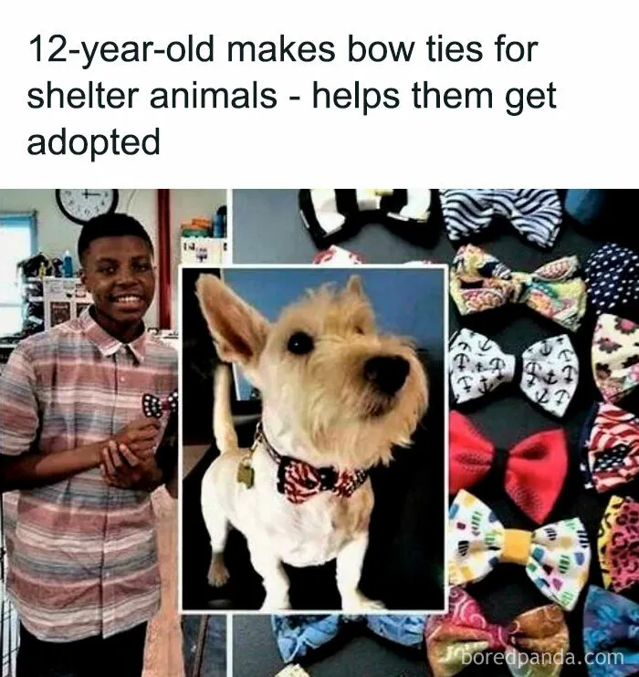 True Hero