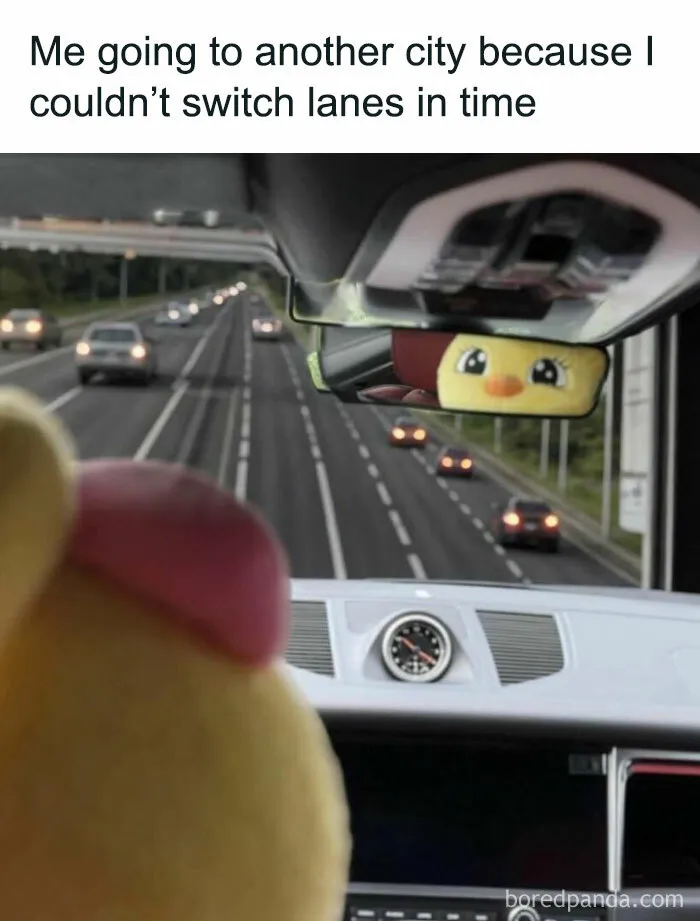 79 Silly Memes That Feel Suspiciously Relatable