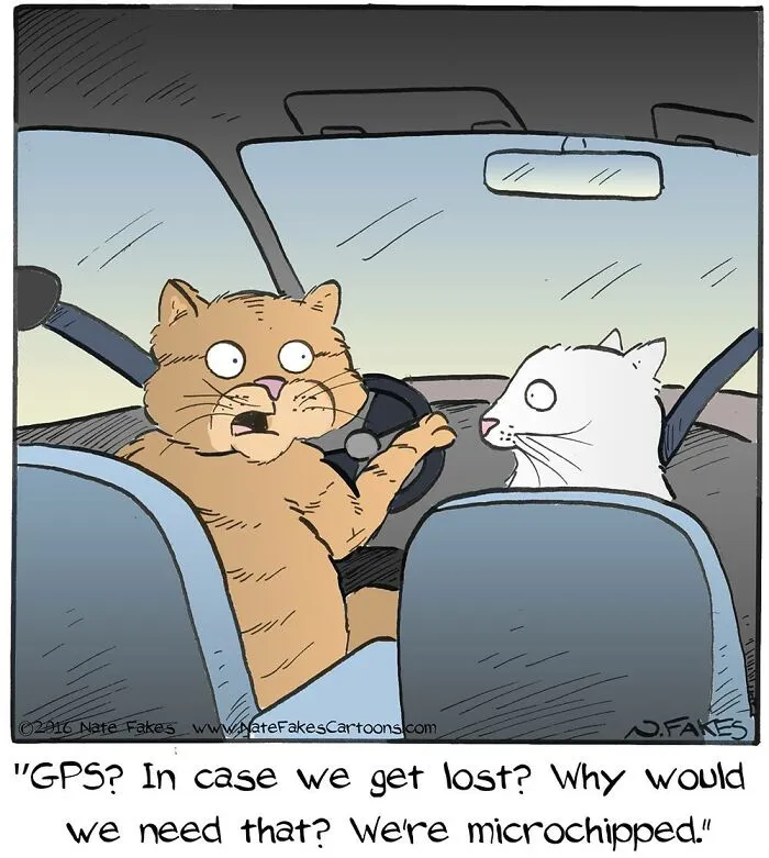 26 Funny Comics That Perfectly Capture The Strange World Of Cats