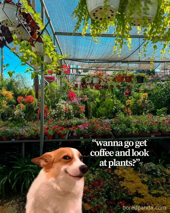 This IG Page Is Rife With Funny Plant Memes, And These 59 Are The Best So Far (New Pics)