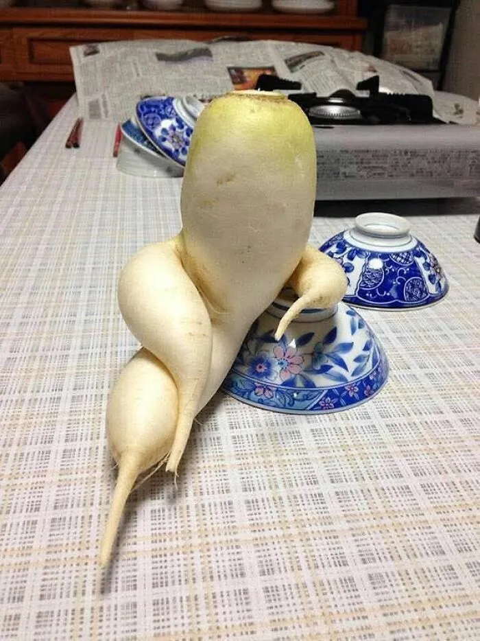 This Page Shared 60 Strange Moments When People Saw Faces In Everyday Things (New Pics)