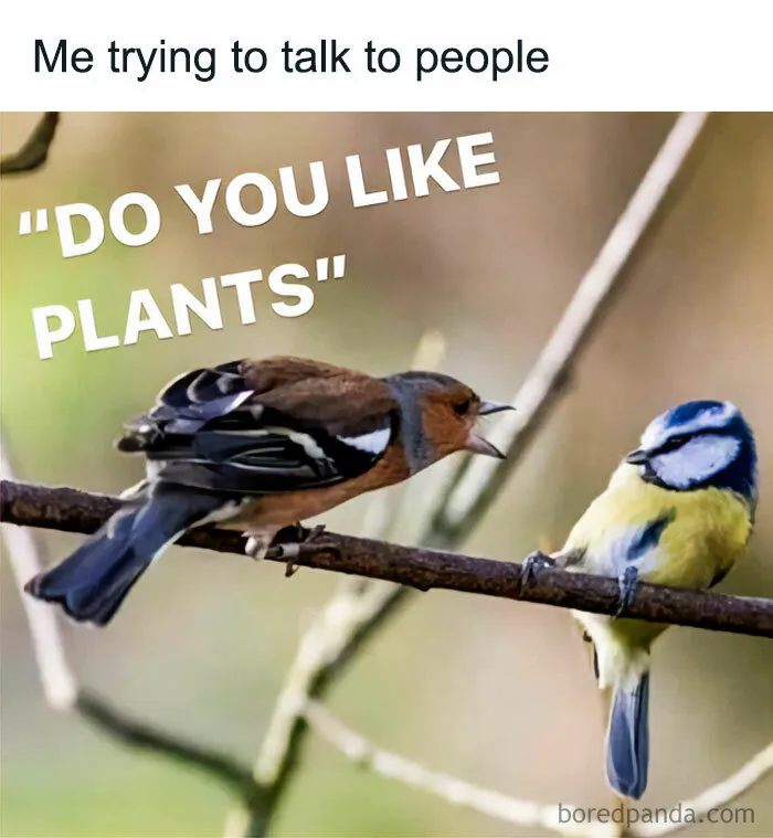 This IG Page Is Rife With Funny Plant Memes, And These 59 Are The Best So Far (New Pics)