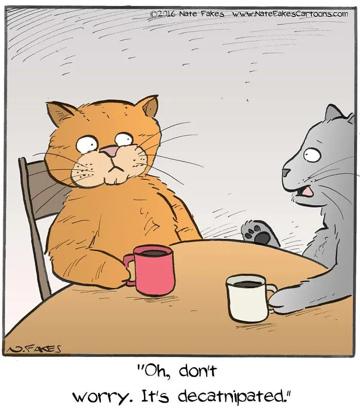 26 Funny Comics That Perfectly Capture The Strange World Of Cats