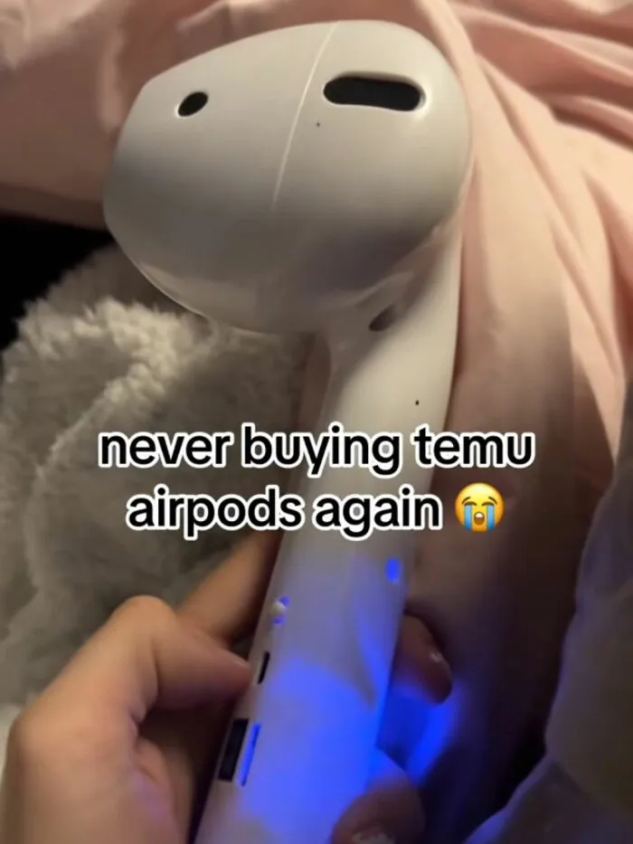49 Times People Got Ridiculous Things From Temu And Couldn’t Be Mad Because They Did It To Themselves