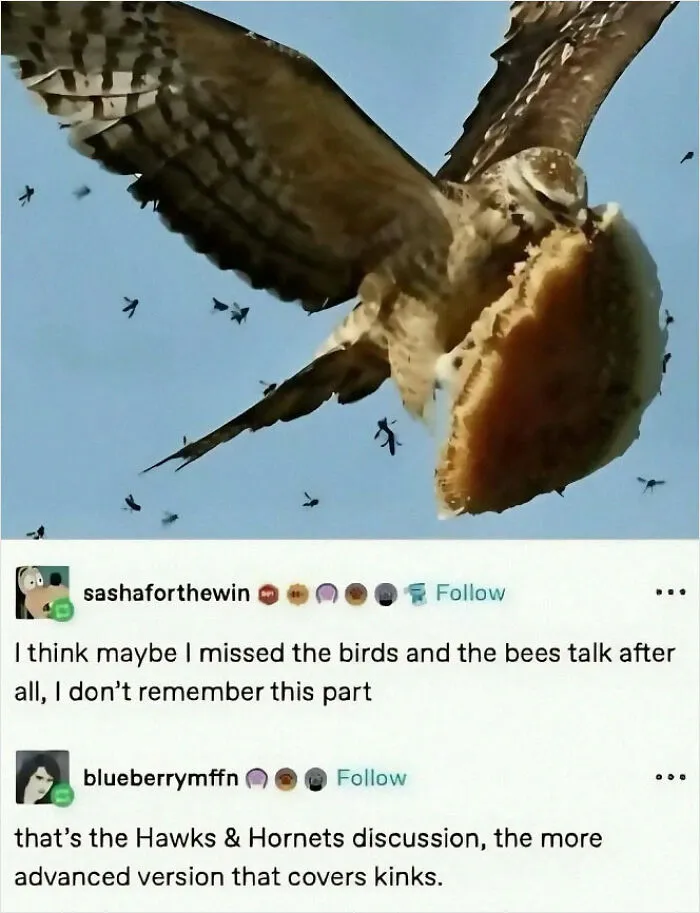 75 Unhinged Posts That Feel Like Pure Internet Chaos