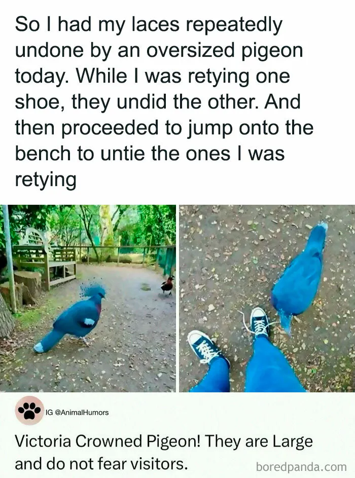 75 Unhinged Posts That Feel Like Pure Internet Chaos