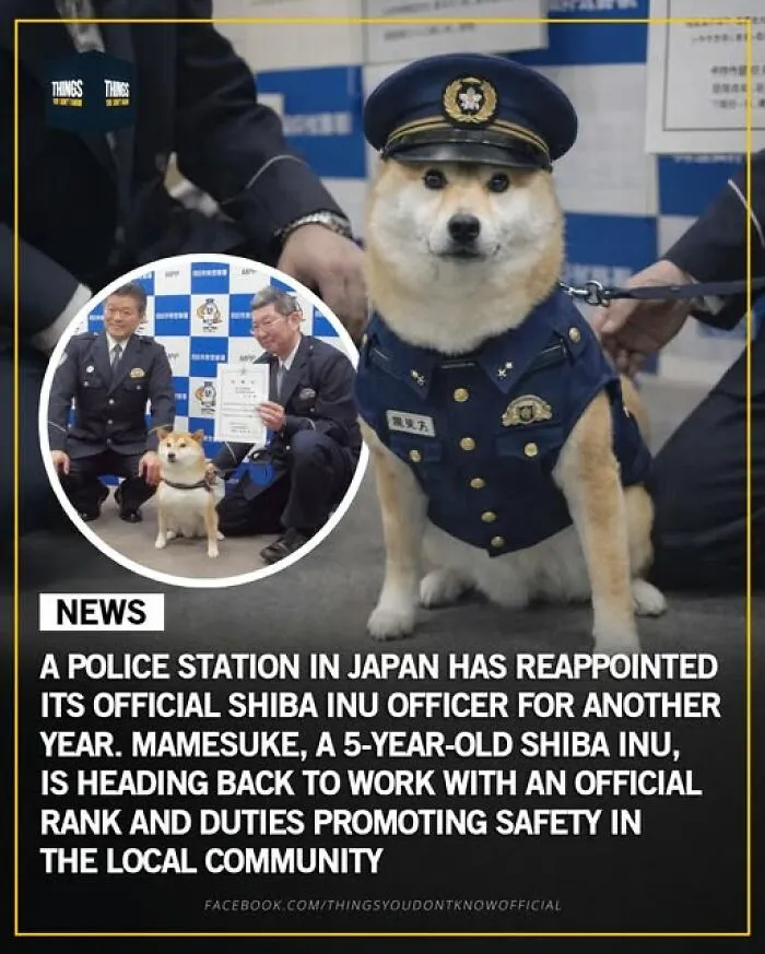 Enlighten Yourself By Scrolling Through These 83 News Stories From “Things You Don’t Know” (New Pics)