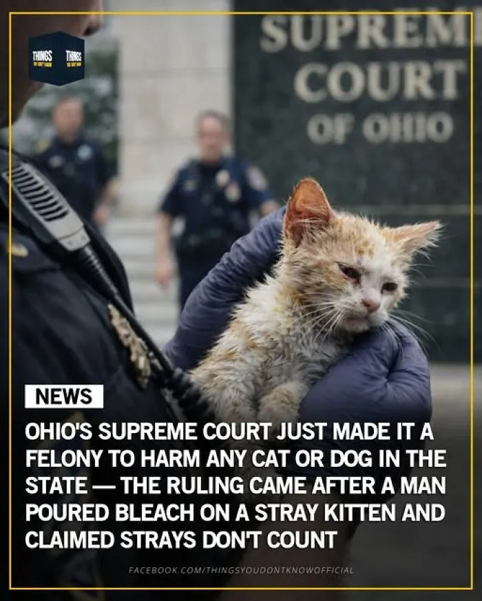 Enlighten Yourself By Scrolling Through These 83 News Stories From “Things You Don’t Know” (New Pics)