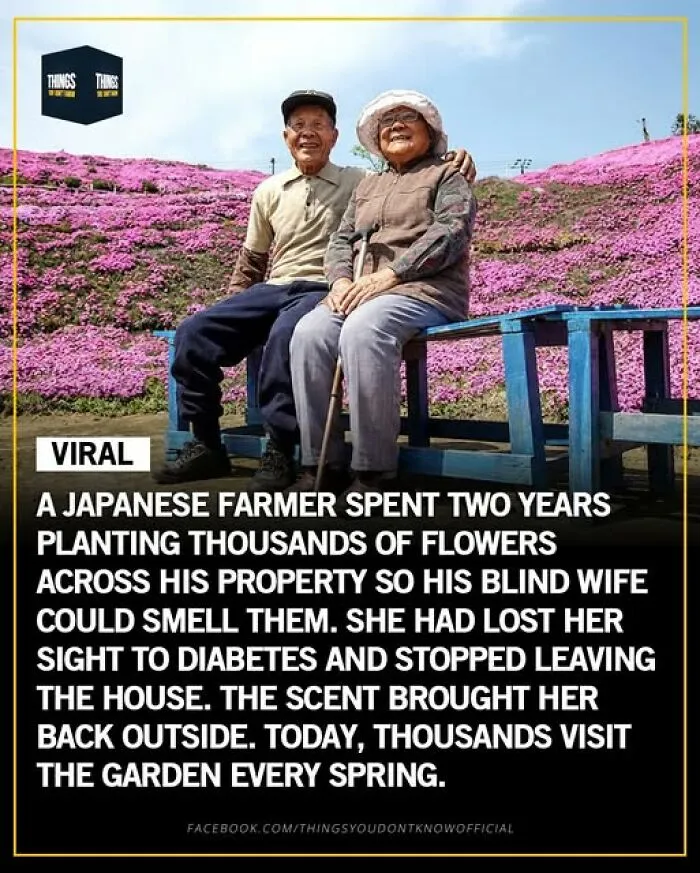 Enlighten Yourself By Scrolling Through These 83 News Stories From “Things You Don’t Know” (New Pics)