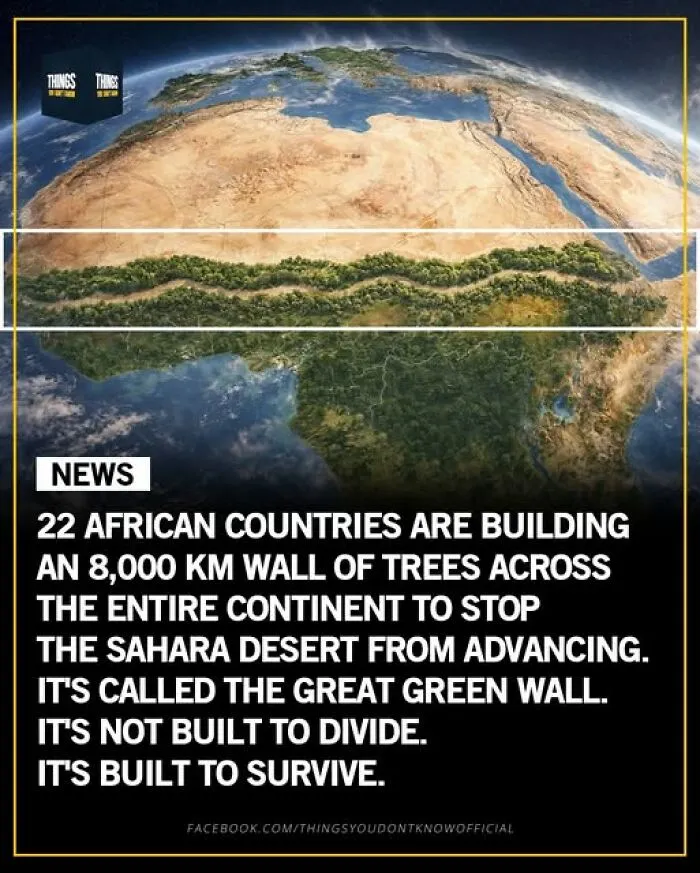 Enlighten Yourself By Scrolling Through These 83 News Stories From “Things You Don’t Know” (New Pics)