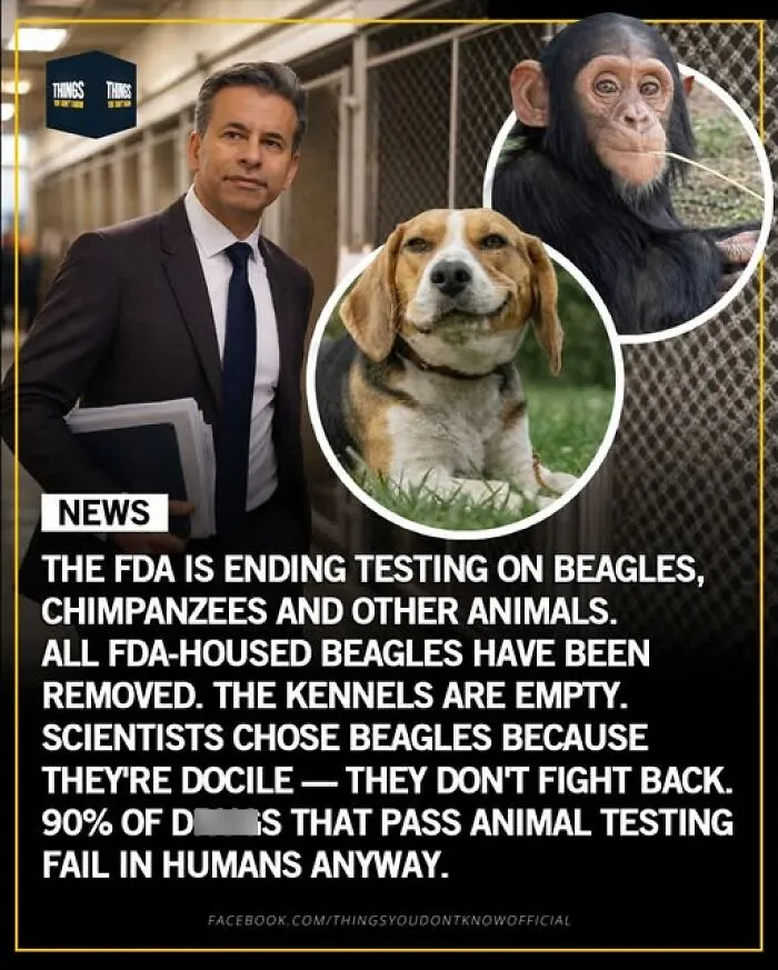 Enlighten Yourself By Scrolling Through These 83 News Stories From “Things You Don’t Know” (New Pics)