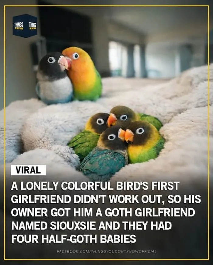 Enlighten Yourself By Scrolling Through These 83 News Stories From “Things You Don’t Know” (New Pics)